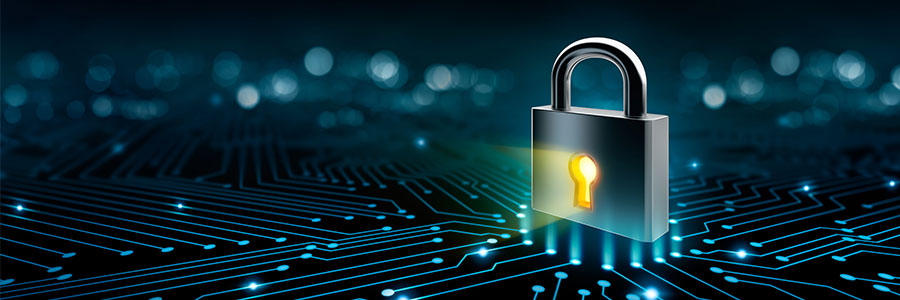 Five Ways a DMS Helps Secure Your Data